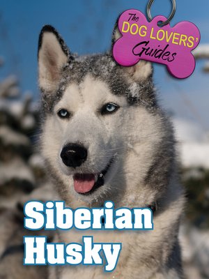 cover image of Siberian Husky